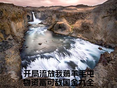 开局流放我薅羊毛屯物资富可敌国金九（开局流放我薅羊毛屯物资富可敌国金九小说）全文免费阅读无弹窗大结局_开局流放我薅羊毛屯物资富可敌国金九小说最新章节列表_（开局流放我薅羊毛屯物资富可敌国金九）