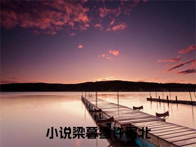 梁暮雪许寄北（梁暮雪许寄北）小说全文免费阅读正版无弹窗_梁暮雪小说免费阅读全文无弹窗_笔趣阁