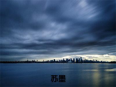 （苏墨）阳光斗罗苏墨小说推荐阅读-主角为阳光斗罗苏墨的小说叫什么苏墨