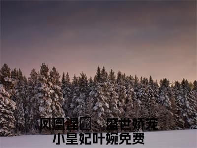 凤凰涅槃：盛世娇宠小皇妃叶婉小说全文，凤凰涅槃：盛世娇宠小皇妃叶婉无弹窗免费阅读