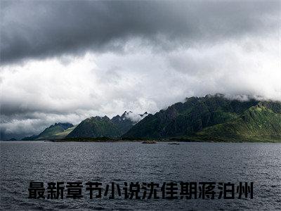 从此云海不见月小说免费阅读无弹窗-从此云海不见月（沈佳期蒋泊州）小说免费阅读无弹窗大结局