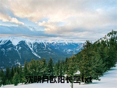 都和离了，谁还养着你一家小说大结局免费阅读，沈明月欧阳长空抖音新上热文分享