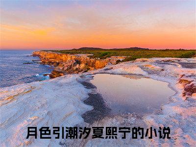 月色引潮汐夏熙宁最新热点小说-月色引潮汐夏熙宁免费观看完结版