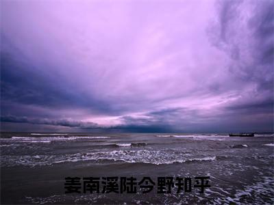 姜南溪陆今野（姜南溪陆今野全集无弹窗阅读）姜南溪陆今野已完结小说全集完整版大结局笔趣阁（姜南溪陆今野）最新章节列表_笔趣阁