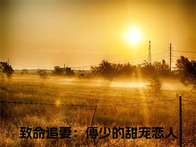 傅正卿李景熙全文（致命追妻：傅少的甜宠恋人）全文免费阅读无弹窗大结局_致命追妻：傅少的甜宠恋人免费最新章节列表_笔趣阁