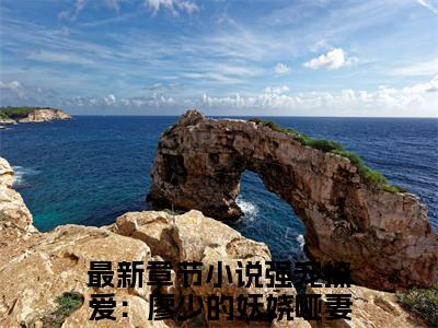 苏苒初廖亦舟（强宠撩爱：廖少的妖娆哑妻）全文免费阅读无弹窗大结局_苏苒初廖亦舟小说（强宠撩爱：廖少的妖娆哑妻）最新章节列表