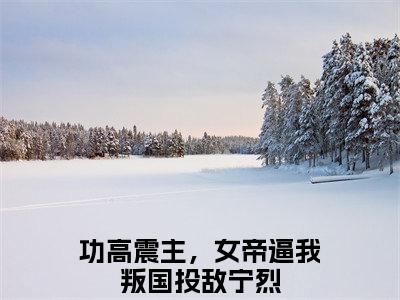 功高震主，女帝逼我叛国投敌宁烈（功高震主，女帝逼我叛国投敌宁烈）全文免费阅读无弹窗大结局_功高震主，女帝逼我叛国投敌宁烈最新章节列表_笔趣阁（功高震主，女帝逼我叛国投敌宁烈）