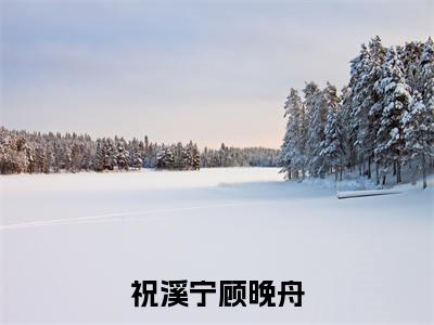 祝溪宁顾晚舟无广告小说（祝溪宁顾晚舟）全文免费阅读无弹窗大结局-祝溪宁顾晚舟在线阅读