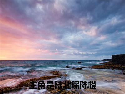 陆北琛陈橙是什么小说，陆北琛陈橙（酒吧买醉后，我被总裁捡回了家）完整章节在线阅读