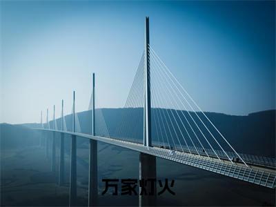 万家灯火的小说全文免费阅读无弹窗，柳铖乔灼的小说在线免费阅读大结局（柳铖乔灼）
