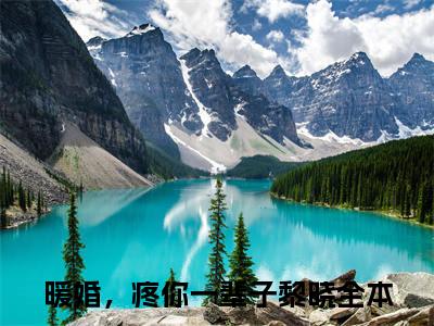 小说暖婚，疼你一辈子黎晓（暖婚，疼你一辈子黎晓）最新章节免费阅读-（暖婚，疼你一辈子黎晓）小说全文无删减版