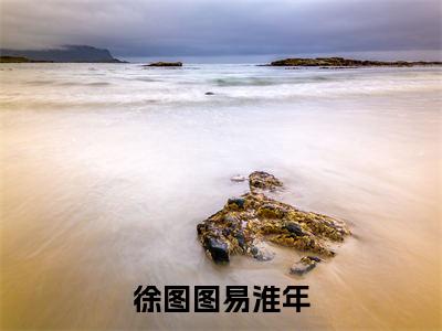 徐图图易淮年小说全文-（徐图图易淮年）精选小说徐图图易淮年大结局阅读