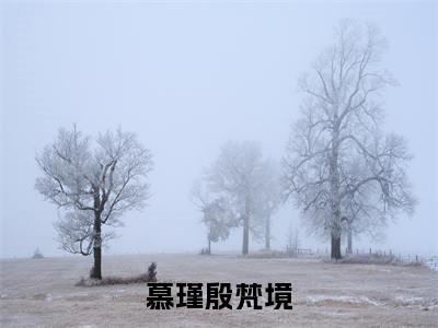 慕瑾殷梵境(慕瑾殷梵境)全文免费阅读无弹窗大结局_(慕瑾殷梵境)最新章节
