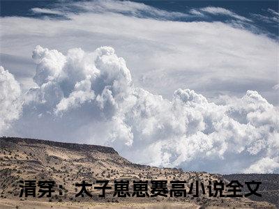 （繁英胤礽）小说全文免费阅读无弹窗大结局_清穿：太子崽崽赛高繁英胤礽最新章节列表笔趣阁