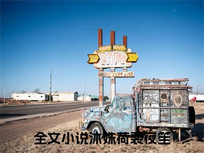 沐姝荷裴夜笙（沐姝荷裴夜笙小说）全文免费阅读无弹窗大结局_(沐姝荷裴夜笙小说免费阅读全文大结局)最新章节列表_笔趣阁（沐姝荷裴夜笙）