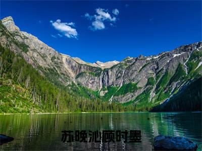 （苏晚沁顾时墨）小说免费阅读-苏晚沁顾时墨全文无弹窗阅读