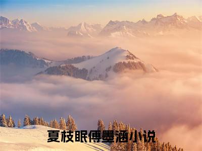 小说(夏枝眠傅墨涵)免费阅读-珍藏美文读物夏枝眠傅墨涵