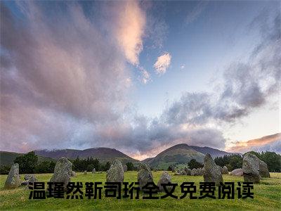 温瑾然靳司珩人气小说在线阅读，温瑾然靳司珩正版小说全文阅读