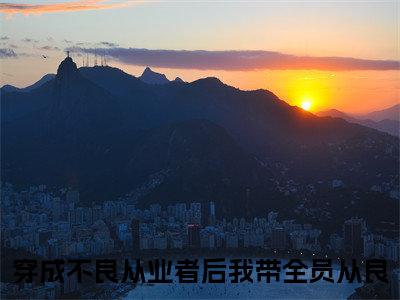 秦砚陆辛夷（穿成不良从业者后我带全员从良）小说精彩免费内容_秦砚陆辛夷穿成不良从业者后我带全员从良最新章节全文阅读