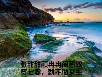 张甜甜顾冉冉在线阅读（闺蜜双穿七零，就不做女主垫脚石）全文免费阅读无弹窗大结局