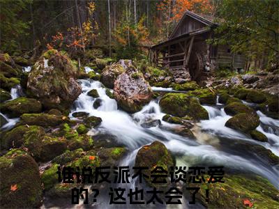 谁说反派不会谈恋爱的？这也太会了！（许卿宁裴晞小说）最新在线阅读_许卿宁裴晞小说免费阅读