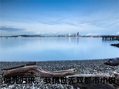 抖音高赞小说叶辰在线阅读假死归来，我镇世无双新上现代言情小说推荐