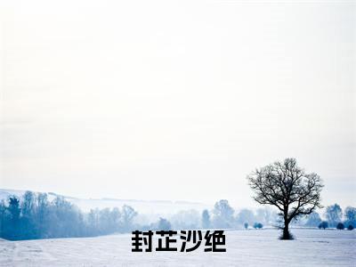 一个疯批一倍爽，两个疯批十倍爽（封芷沙绝）免费阅读_封芷沙绝小说免费阅读-笔趣阁