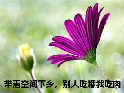 沈宁（带着空间下乡，别人吃糠我吃肉）抖音热推小说全集无删减，带着空间下乡，别人吃糠我吃肉小说在线免费阅读大结局