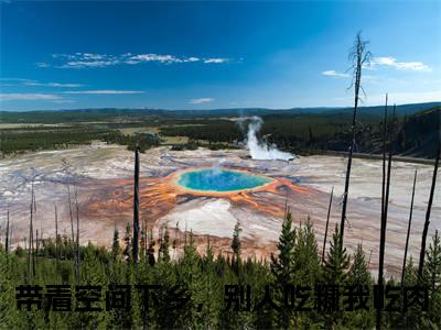 带着空间下乡，别人吃糠我吃肉（沈宁）全文免费阅读无弹窗大结局_沈宁最新章节列表