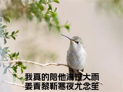 姜青黎靳寒夜尤念笙小说全文免费阅读无弹窗-（我真的陪他淋过大雨阅读无弹窗）穿越小说免费阅读_笔趣阁