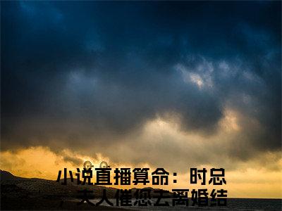 （热推新书）直播算命：时总，夫人催您去离婚全文免费阅读无弹窗大结局-热推时熠沈初瑾无弹窗阅读直播算命：时总，夫人催您去离婚在线阅读