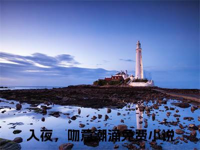 主角是入夜，吻意潮涌的小说叫什么名字苏梓彤蓝嘉平精彩结局阅读