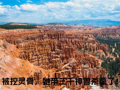 云千凰（被挖灵骨，她带三千神兽杀疯了！）全文阅读无弹窗大结局_云千凰免费阅读无弹窗最新章节列表