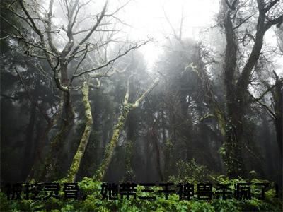 云千凰（被挖灵骨，她带三千神兽杀疯了！）在哪免费看-小说（被挖灵骨，她带三千神兽杀疯了！）全文完整版免费阅读云千凰