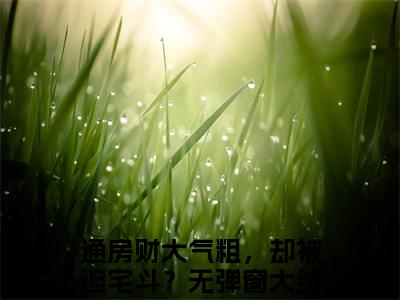 通房财大气粗，却被迫宅斗？全文（赵渊沈青棠小说）全文免费阅读无弹窗大结局_赵渊沈青棠免费最新章节列表