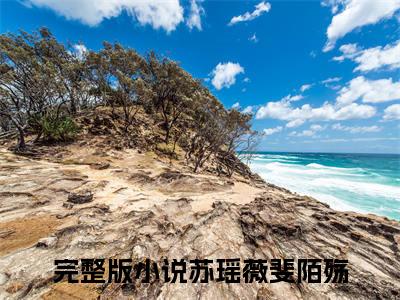 苏瑶薇斐陌殇小说免费阅读全文（苏瑶薇斐陌殇）全文免费阅读无弹窗大结局_雪落八年，终究是落到了他们身上最新章节列表