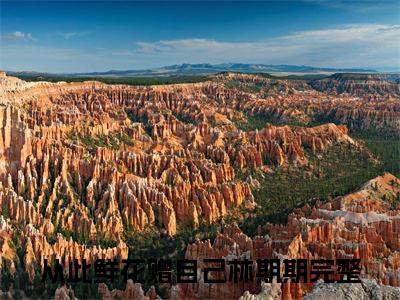 从此鲜花赠自己林期期免费阅读（从此鲜花赠自己林期期）全文免费阅读无弹窗大结局_从此鲜花赠自己林期期免费阅读最新章节列表_笔趣阁