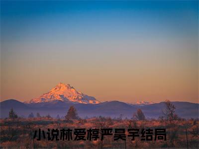三年时间她一直都在骗我（林爱椁严昊宇）小说全文免费阅读-林爱椁严昊宇小说最新章节完整版