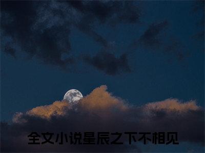 星辰之下不相见全文免费阅读无弹窗大结局-陆夕瑶沈云野小说在哪里可以看