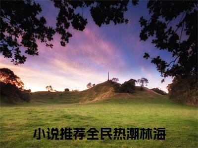 全民热潮林海（全民热潮林海小说）全文免费阅读无弹窗大结局_(全民热潮林海小说免费阅读全文大结局)最新章节列表_笔趣阁（全民热潮林海）