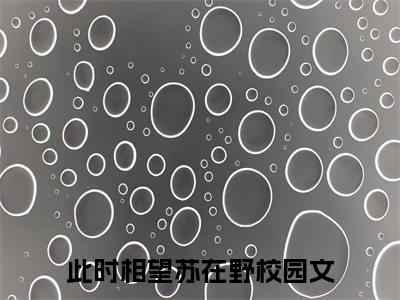 抖音热推新书此时相望苏在野-抖音热推此时相望苏在野无弹窗阅读