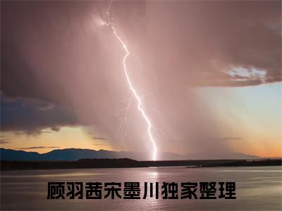 从此陌路不相逢（顾羽茜宋墨川）全文免费阅读无弹窗大结局_（顾羽茜宋墨川免费阅读全文大结局）最新章节列表