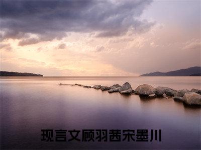 小说从此陌路不相逢无弹窗免费阅读-新上热文小说（顾羽茜宋墨川）讲的是什么