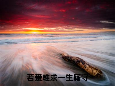 主角若爱难求一生厮守小说宋柔静江赫宇小说全文免费阅读