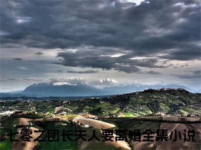 七零之团长夫人要离婚免费小说_池淼韩远洲免费最新章节列表_笔趣阁