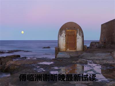 雾散时才说爱全集完整版大结局-傅临洲谢听晚小说在线赏析