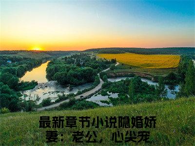 隐婚娇妻：老公，心尖宠（叶柠慕夜黎）全文免费阅读大结局-叶柠慕夜黎最新章节列表免费阅读大结局