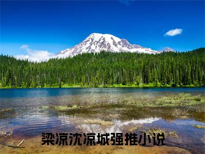 梁凉沈凉城（你不娶我， 我就不要你了）全文免费阅读无弹窗_（你不娶我， 我就不要你了）小说最新章节列表笔趣阁