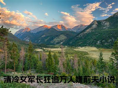 齐书桦展心颜（清冷女军长狂追万人嫌前夫）小说全文免费阅读无弹窗-齐书桦展心颜全章节在线阅读
