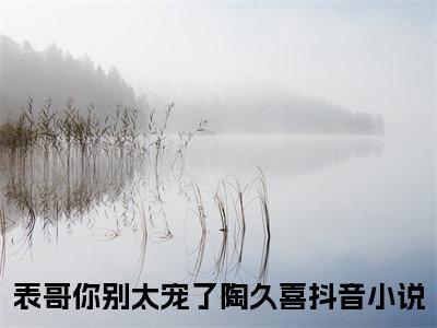 表哥你别太宠了陶久喜（表哥你别太宠了陶久喜）全文免费阅读无弹窗大结局_表哥你别太宠了陶久喜在线阅读（表哥你别太宠了陶久喜）